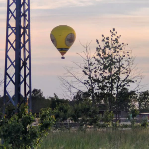 IMG_20250524_202011~2