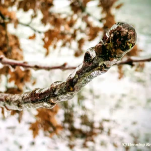 2026-01-26-202115_002