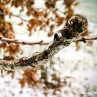 2026-01-26-202115_002