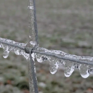 2026-01-26-202115_007