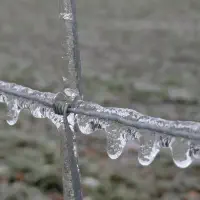 2026-01-26-202115_007