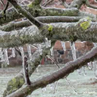 2026-01-26-202115_008