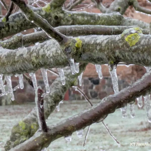 2026-01-26-202115_008