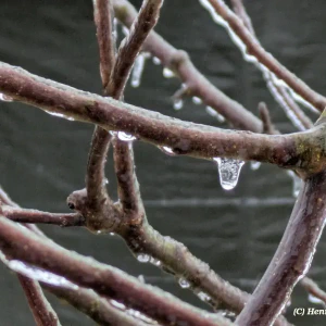 2026-01-26-202115_009