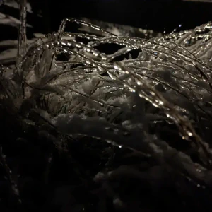 2026-01-26-202115_010