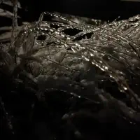 2026-01-26-202115_010