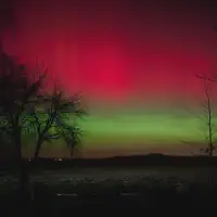 2026-01-19-220905_002