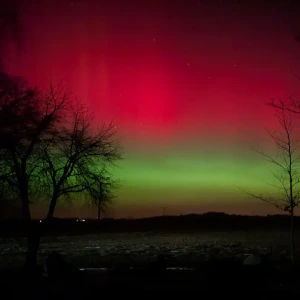 2026-01-19-220905_002