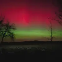 2026-01-19-220905_003