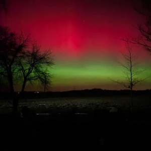 2026-01-19-220905_003