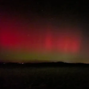 2026-01-19-220905_004