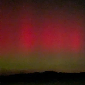 2026-01-19-220905_005