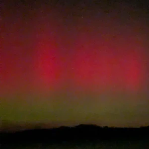 2026-01-19-220905_005