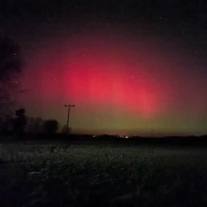 2026-01-19-220905_006