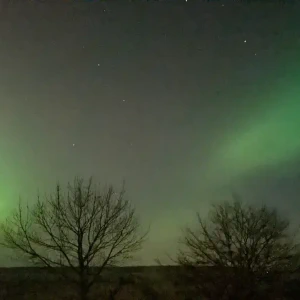 2026-01-19-223204_002