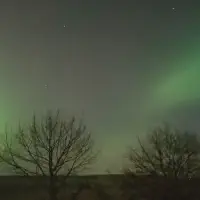 2026-01-19-223204_002