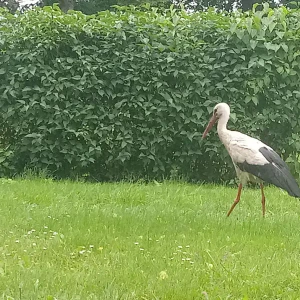 signal-2025-06-10-215913_002