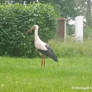 signal-2025-06-10-215913_003