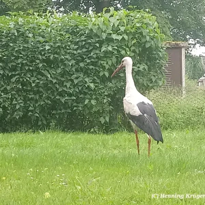 signal-2025-06-10-215913_004