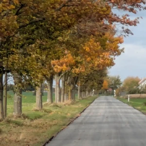 2026-10-24_011